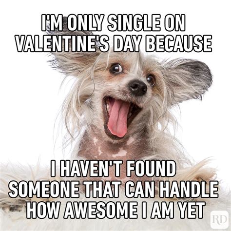 valentines pipette meme|valentine memes funny.